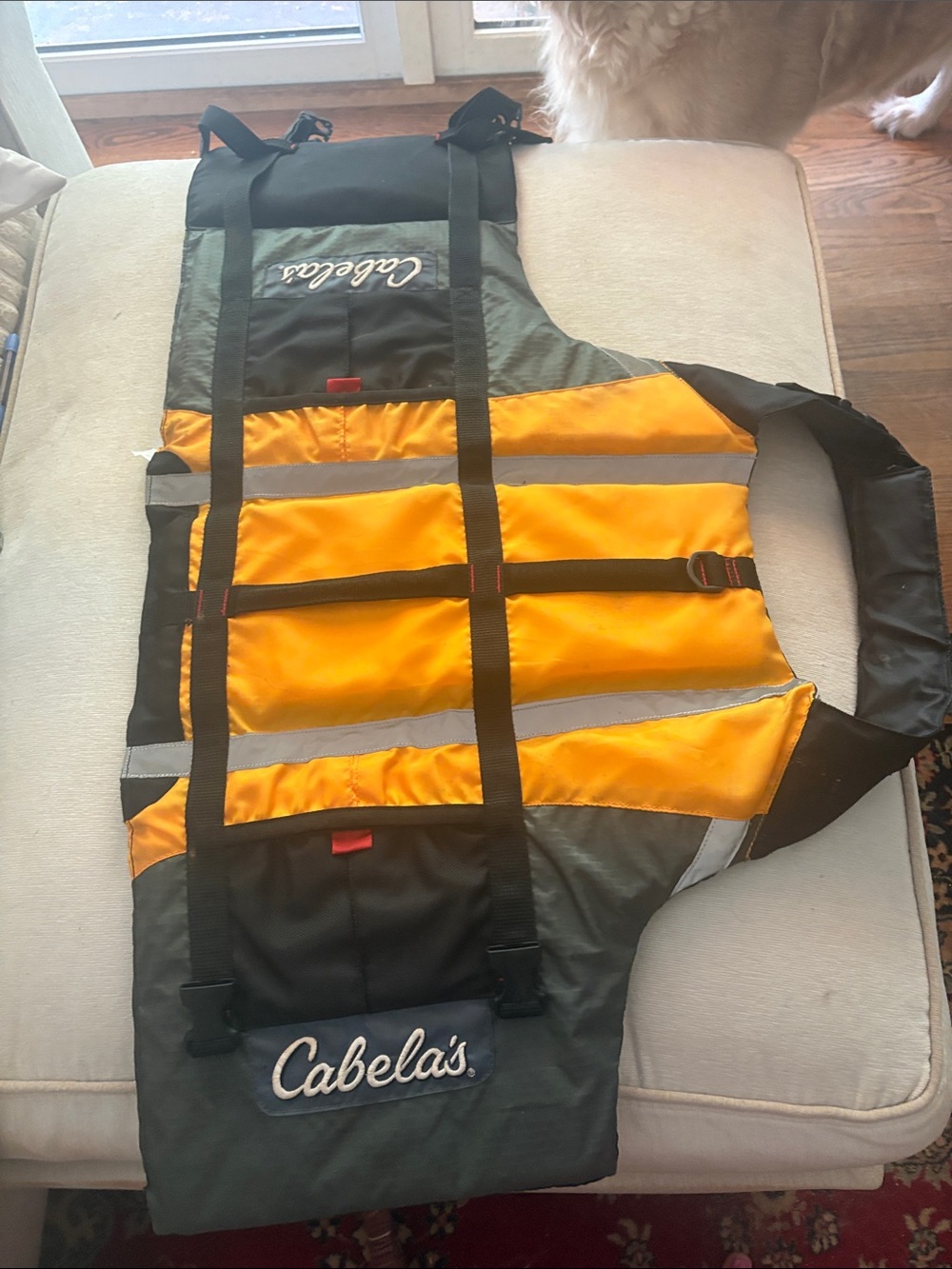 Cabela's Orange and Black High-Visibility Safety Vest for dogs